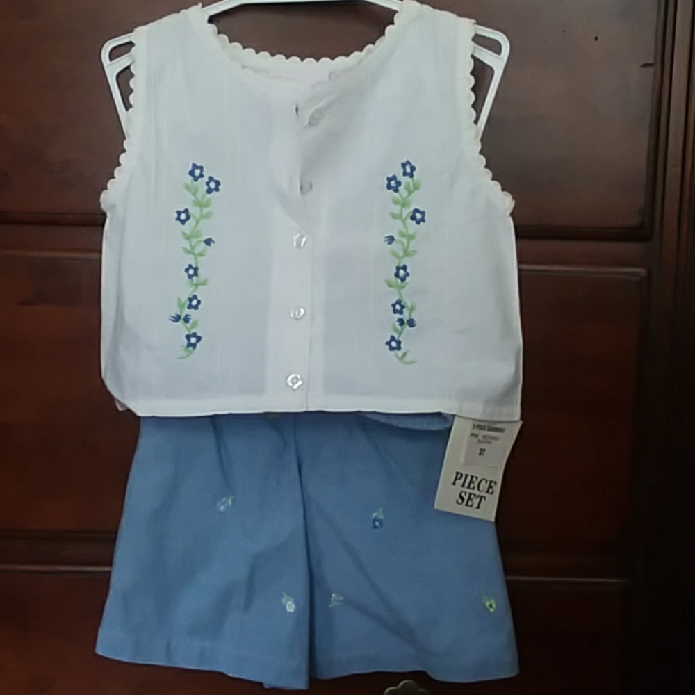 NWOT short and top set